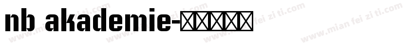 nb akademie字体转换